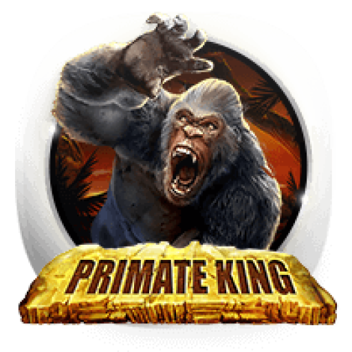 fortune coins casino